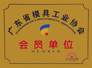 Member of GUANGDONG Mold Association